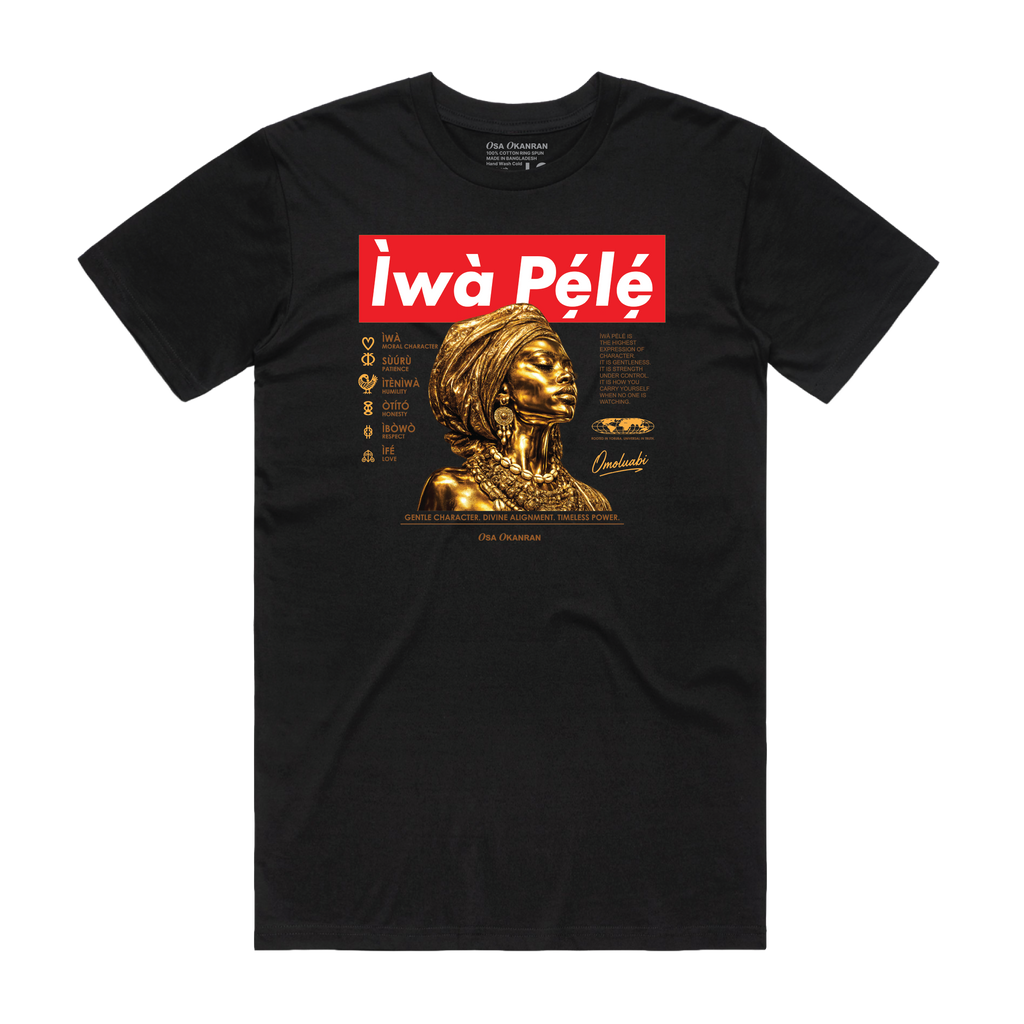KINDNESS  T-SHIRT